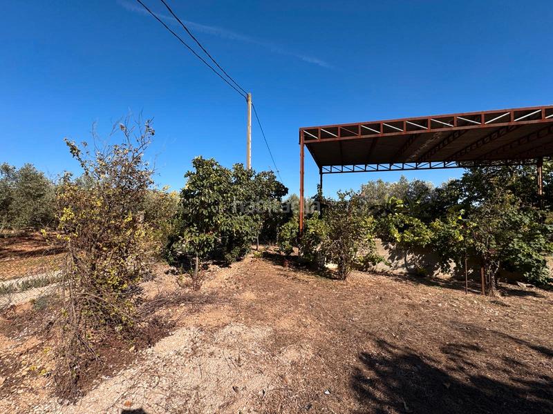 Foto 67ef5db0-9a83-42c3-9f43-809ef65f7f4c. Finca rústica finca rustica a 1 kilometro del pueblo en Ulldecona