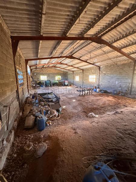 Foto 6f6a282d-9b08-4a6c-88a7-bd5bd6066d55. Finca rústica finca rustica a 1 kilometro del pueblo en Ulldecona