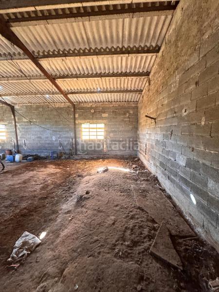 Foto 73d6862e-1c25-4d2e-ab7a-2b6b46391377. Finca rústica finca rustica a 1 kilometro del pueblo en Ulldecona