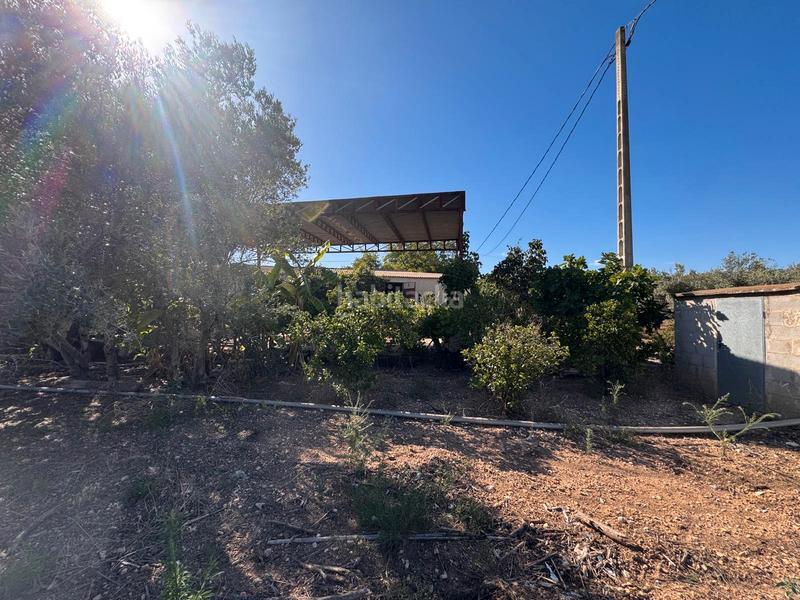 Foto 80474b2f-e1a3-4374-aa20-e2e41f80e7d6. Finca rústica finca rustica a 1 kilometro del pueblo en Ulldecona