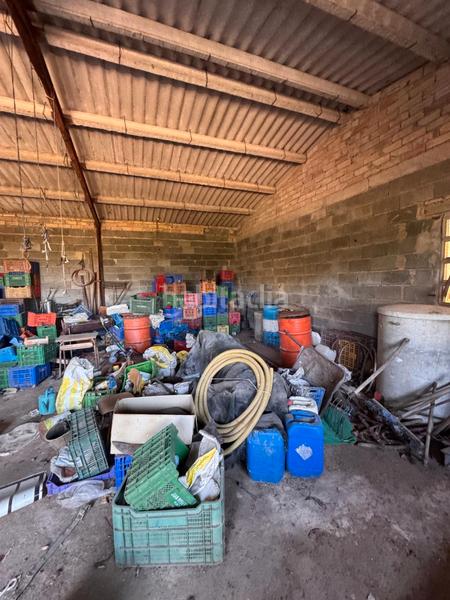 Foto c4018b43-1ba2-44cc-a903-61e76eb2041d. Finca rústica finca rustica a 1 kilometro del pueblo en Ulldecona