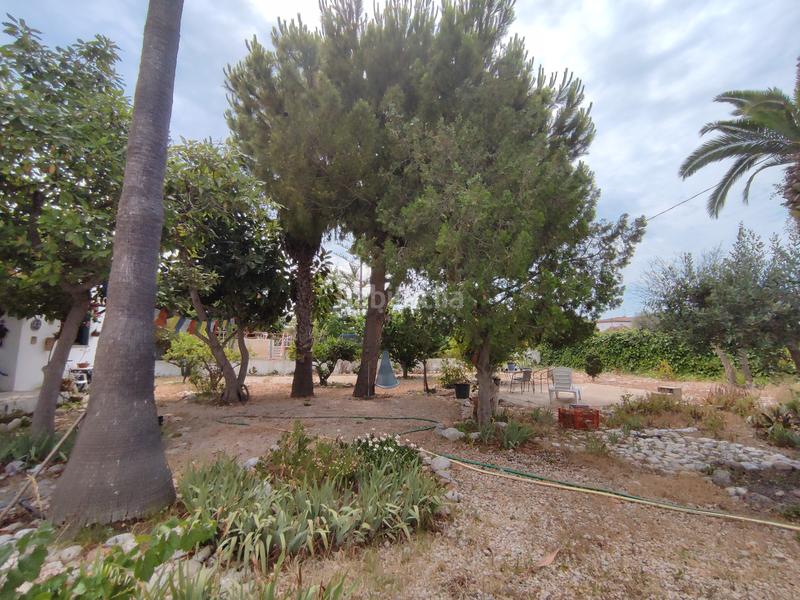 Foto 57d9952e-6276-4b10-b9c6-c802ae7a632f. Chalet  con 1.000m de parcela a 4 kilometros de casco urbano en Peñíscola