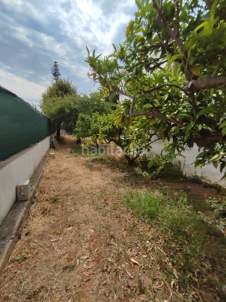 Foto a1ab6f3e-826c-43c1-8140-1ca831e364b5. Chalet  con 1.000m de parcela a 4 kilometros de casco urbano en Peñíscola