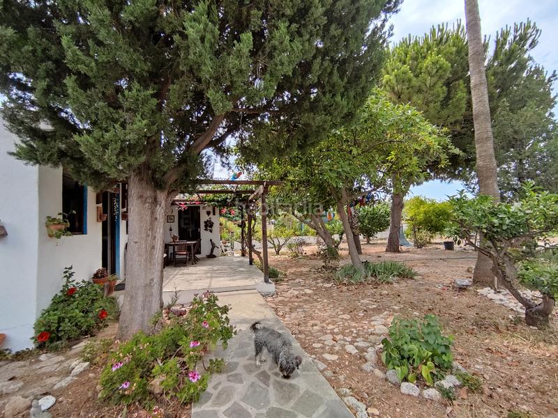 Foto abefad82-0b18-4e85-b802-5ddaab8ac702. Chalet  con 1.000m de parcela a 4 kilometros de casco urbano en Peñíscola