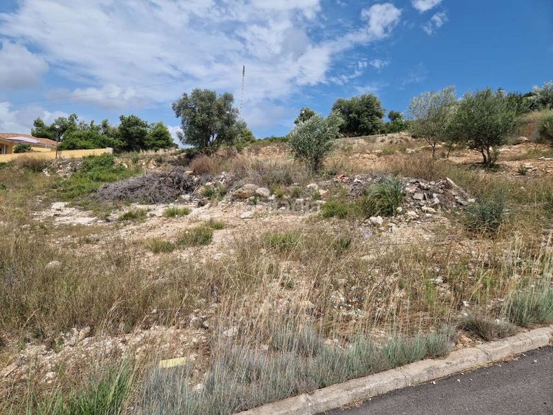 Foto 4942fc1c-f850-48a3-9eab-ab0554263e66. Finca rústica a Plaza Donoso Cortés - Avenida Magdalena Castellón de la Plana