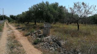 Finca rústica a Ciutat del Transport - La Salera