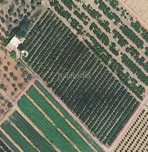 Foto be34ba59-7a5f-45b8-b9ed-aa8439f99720. Finca rústica a paseo marítimo 98 a Papa Luna - Platja del Gurugú Benicarló