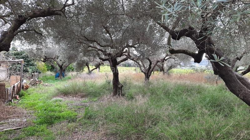 Foto 56d7262b-f861-467e-8d42-be833e2a4146. Finca rústica a Partidas de Interior - Zona Rústica Vinaròs