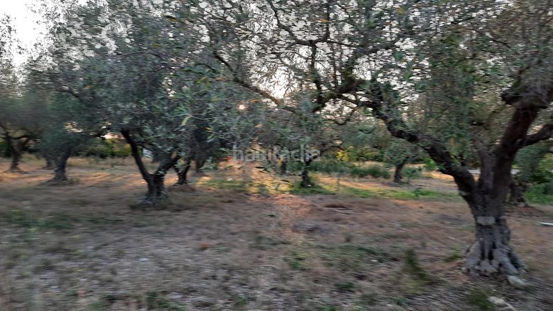 Foto b5ef33e5-9260-48c2-b486-80d50367e2a1. Finca rústica pequeña finca rústica en Casco Urbano Vinaròs