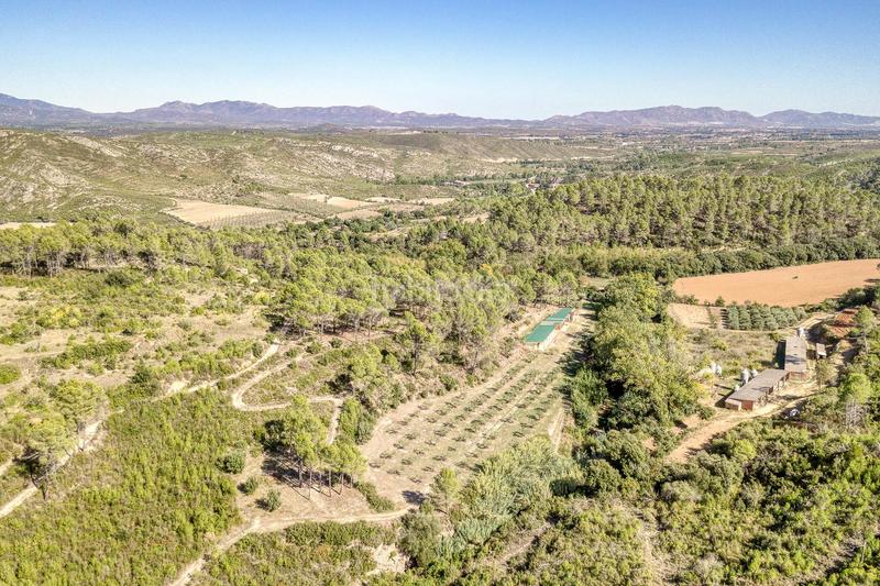 Foto 57a64ff0-bba1-439f-8e37-ad06d5b530c1. Casale con riscaldamento parcheggio piscina in Boadella i les Escaules