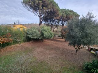 Terreny residencial a Calle coll formic 903. Parcela totalmente plana