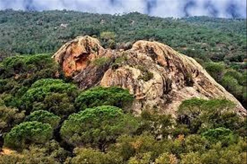 Foto 2c5972e6-eb27-4571-9f0e-58831bf5fc82. Residential plot in Santa Cristina Poble Santa Cristina d´Aro