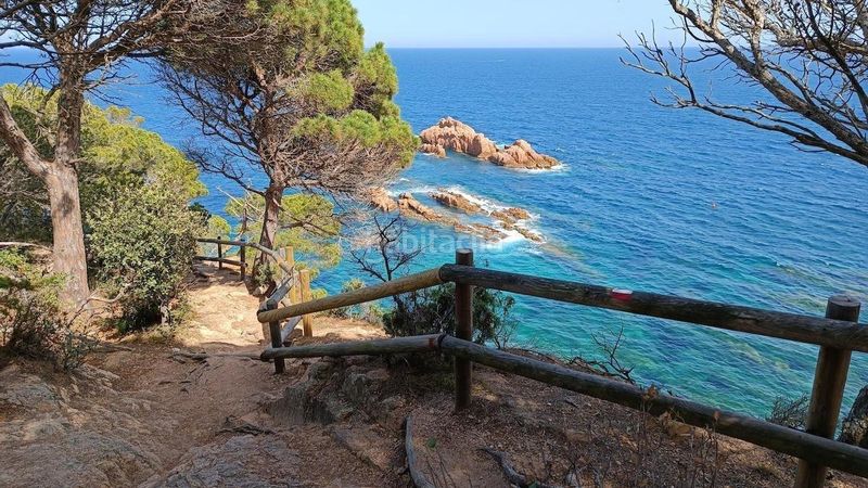 Foto cac1e807-2b14-4ca8-8c8d-38158aa3e970. Terreno residencial finca edificable costa brava en Sant Feliu de Guíxols