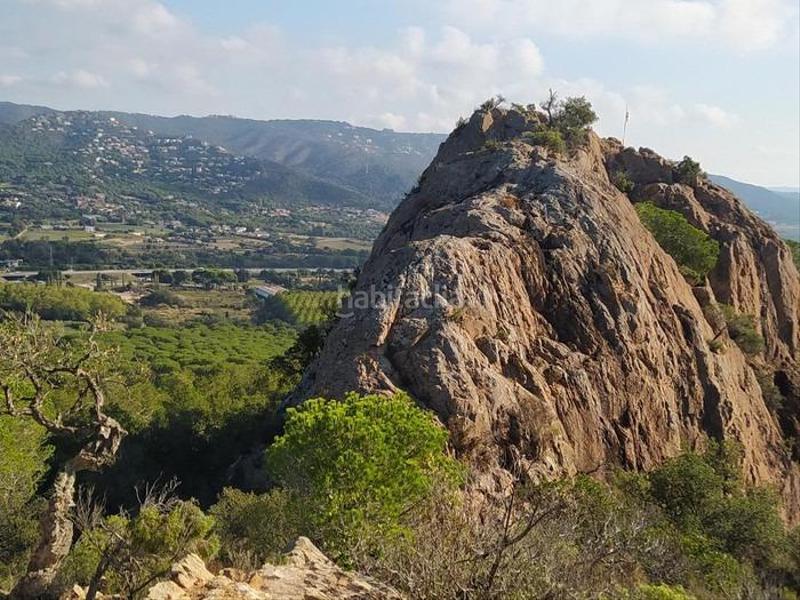 Foto 0c300e6e-b672-4e32-8fa9-a8b29d876cc6. Terrain résidentiel dans Santa Cristina Poble Santa Cristina d´Aro
