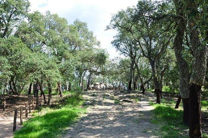 Foto 1349812c-2026-4f30-af00-2ed90e859d4c. Terrain résidentiel dans Santa Cristina Poble Santa Cristina d´Aro