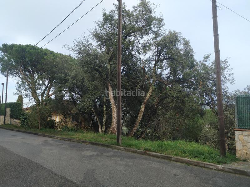 Foto c24ada25-87db-4051-a5ae-1bbc61fc4805. Finca rústica a Cabanyes-Mas Ambrós-Mas Pallí Calonge