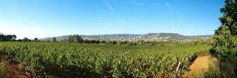 Foto fe4ffaf6-a794-427c-aa45-02d7c7667b1e. Finca rústica a Cabanyes-Mas Ambrós-Mas Pallí Calonge