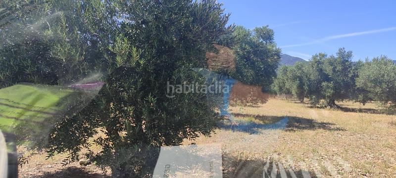 Foto 00bfd3d0-fcf7-4665-9394-44b7d7fb6ee2. Fondo rustico in Cantallops