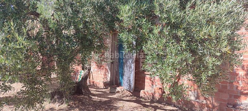 Foto b425394d-c42c-4887-a1c0-658980aa2851. Fondo rustico in Cantallops