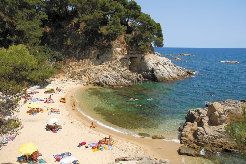 Foto 54deafc8-12ac-4f2a-8715-b5f4868a31af. Terreny residencial a Puig Ses Forques - Torre Colomina Sant Antoni de Calonge