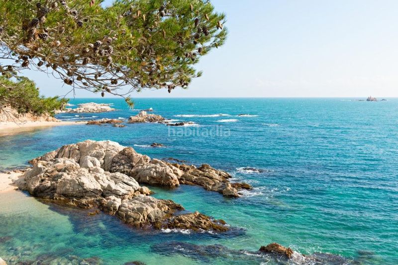 Foto f1b91048-691d-4c06-a787-89b0940360f3. Terreny residencial a Puig Ses Forques - Torre Colomina Sant Antoni de Calonge