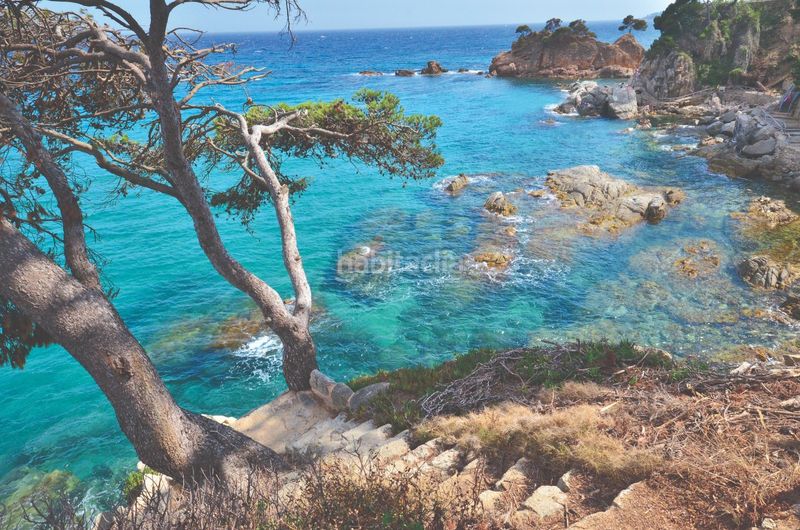 Foto fc3b8f18-ca7b-45db-a81a-b8745dd45de5. Terreny residencial a Puig Ses Forques - Torre Colomina Sant Antoni de Calonge
