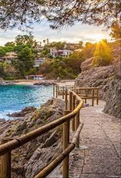 Foto 9de30706-5d4e-489d-bad2-f36ecf5f4c76. Miete geschäftsraum in El Pedró Palamós