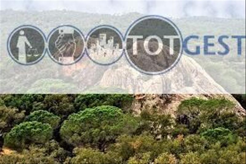 Foto c4ff4076-7522-44d9-be27-ff1a47939976. Flat in Santa Cristina Poble Santa Cristina d´Aro