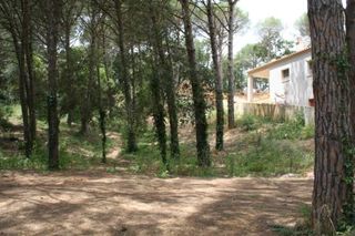Terreny residencial a Mas Pere-Río de Oro