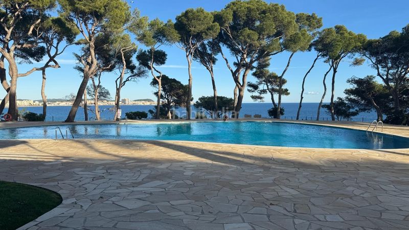 Foto 6dea49f6-b56a-4610-9400-052123f06065. Pis amb aparcament piscina a Torre Valentina-Mas Vilar de La Mutxada-Treumal Sant Antoni de Calonge