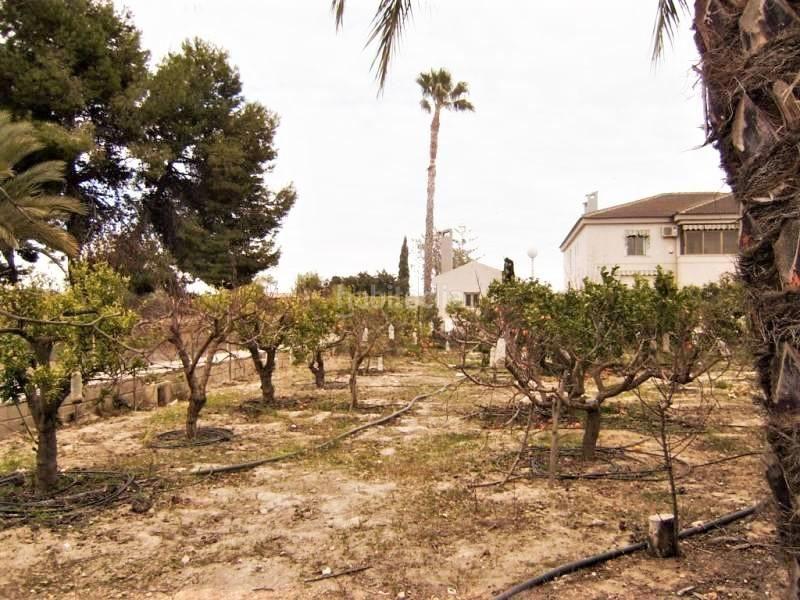 Foto 631f2ded-b97c-4921-bcc1-ce385792b0f1. House with parking in Perleta - Maitino Elche / Elx