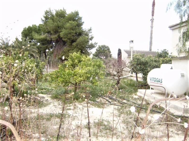 Foto 67a95a48-af41-4aa2-90ea-9123204b8aad. House with parking in Perleta - Maitino Elche / Elx