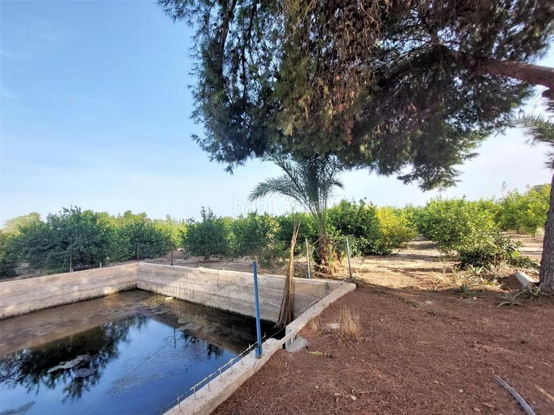 Foto 1519c09c-84f0-4a6b-a255-ea3354ac0db2. Terreno residencial terreno rústico en venta en daimés en Elche / Elx