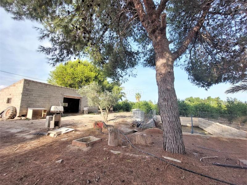 Foto 42eb0f65-ae93-4fac-8c5f-be423a409238. Terreno residencial terreno rústico en venta en daimés en Elche / Elx