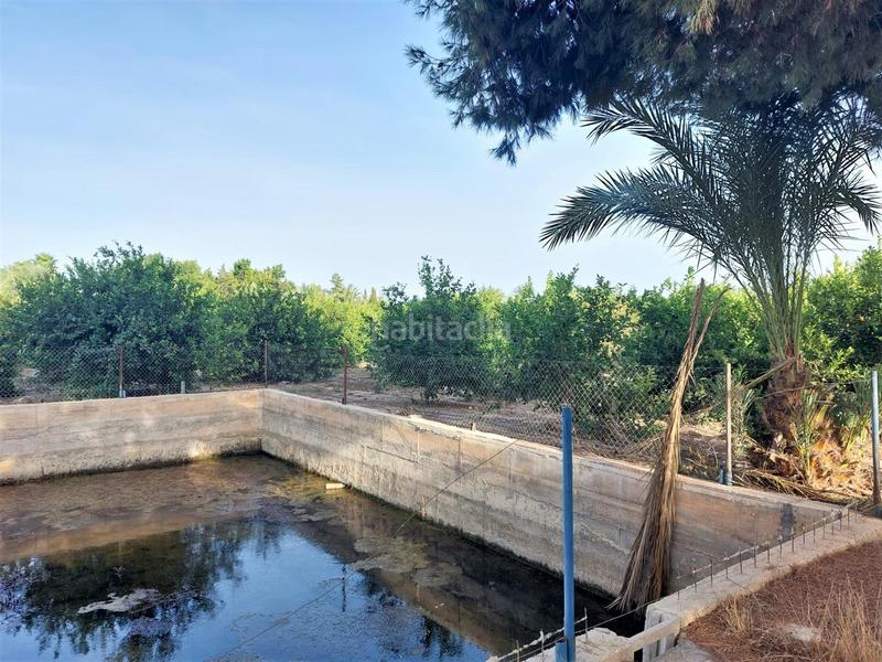 Foto 723a3ea3-349d-490c-bd82-a9ba86c6e4b5. Terreno residencial terreno rústico en venta en daimés en Elche / Elx