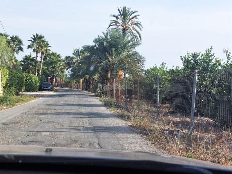 Foto 728cf481-3687-41ed-982e-1a6a82cfd101. Terreno residencial terreno rústico en venta en daimés en Elche / Elx