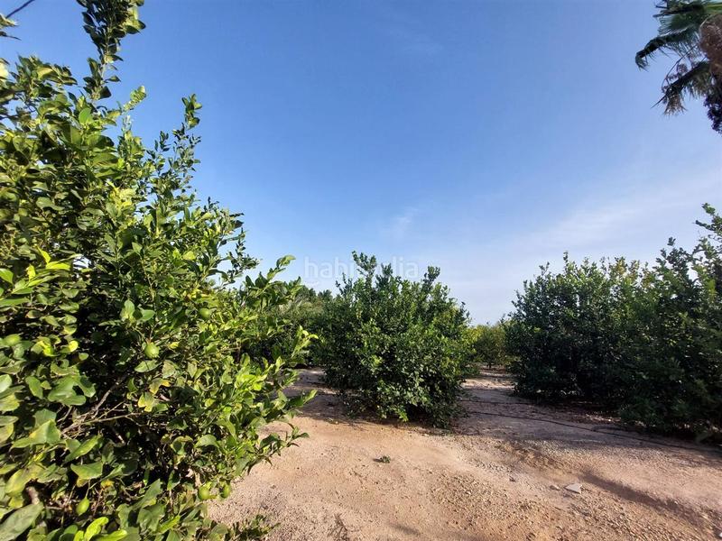 Foto bba93df0-3079-4c50-ac90-e4e19f1ced97. Terreno residencial terreno rústico en venta en daimés en Elche / Elx