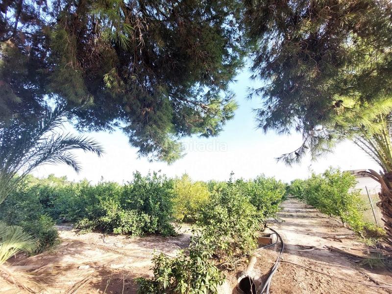 Foto c06e3e0f-f6f5-4f14-ad8e-bfa5314a7d9e. Terreno residencial terreno rústico en venta en daimés en Elche / Elx