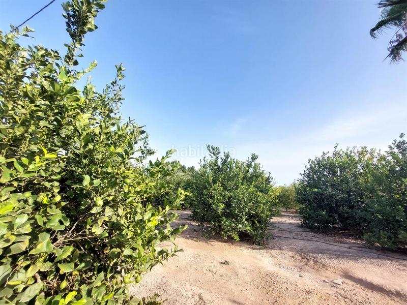 Foto c141a516-34a9-4bfe-9325-944d9de7363f. Terreno residencial terreno rústico en venta en daimés en Elche / Elx