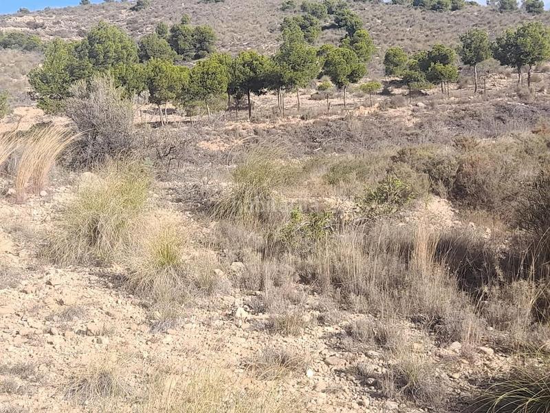 Foto 25241cec-1ade-4bcf-9891-95ef00a5d5ce. Rural plot in Jubalcoi Elche / Elx