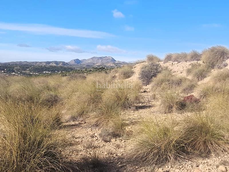 Foto 265d367e-6671-4caf-9b45-2a4fe2adb850. Rural plot in Jubalcoi Elche / Elx