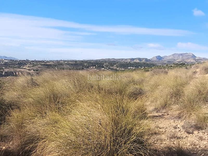 Foto 87e4dbfc-733c-4f28-99c2-578028f55bf9. Rural plot in Jubalcoi Elche / Elx