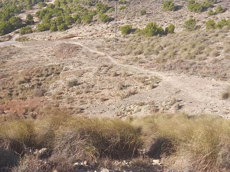 Foto 8ab13825-47a1-4804-87eb-aaaef1704e3e. Rural plot in Jubalcoi Elche / Elx