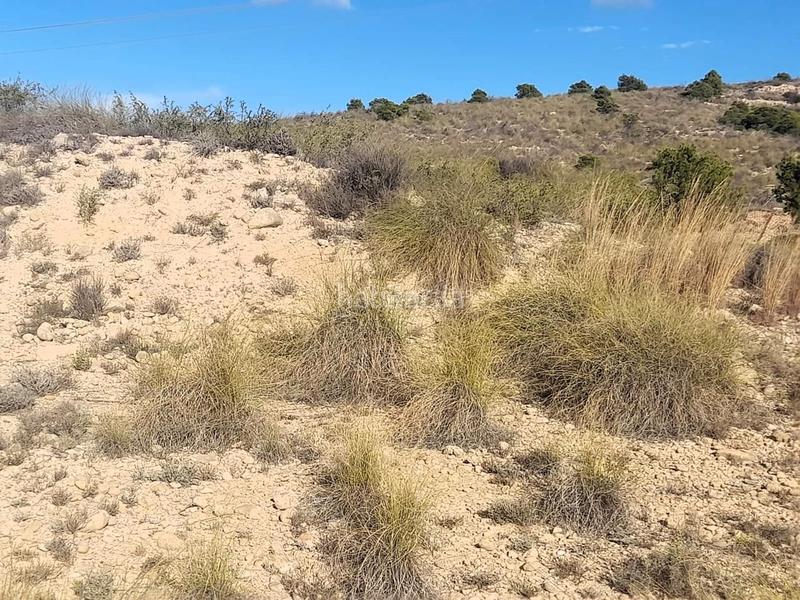 Foto c648f013-5dbe-442b-9d4e-cffe47ac78d6. Rural plot in Jubalcoi Elche / Elx