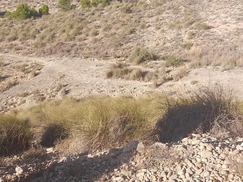 Foto e2ac7e13-b864-46e2-bf1a-dd66264a48c9. Rural plot in Jubalcoi Elche / Elx