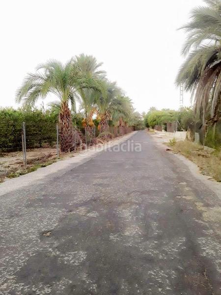 Foto 8eec9c65-e3a7-49dd-bf57-2b369f39478b. Wohngrundstück in La Foia - Daimés - Asprella Elche / Elx