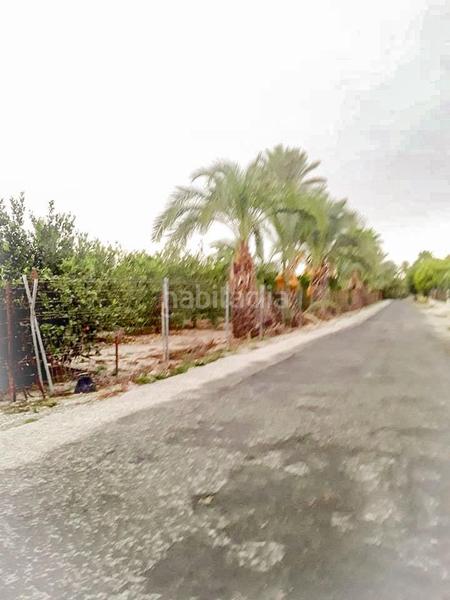 Foto c7ab4706-3179-4aac-b109-7bf805d37798. Wohngrundstück in La Foia - Daimés - Asprella Elche / Elx