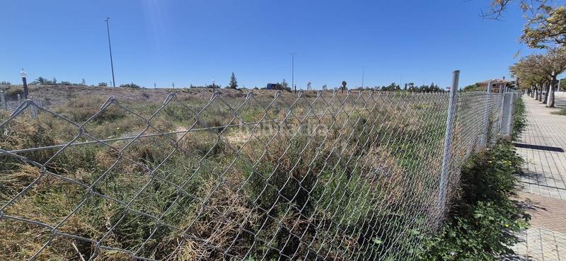 Foto 0d338147-f953-42c5-b853-900aa9ef725f. Terreno residenziale in El Travaló - Martínez Valero Elche / Elx