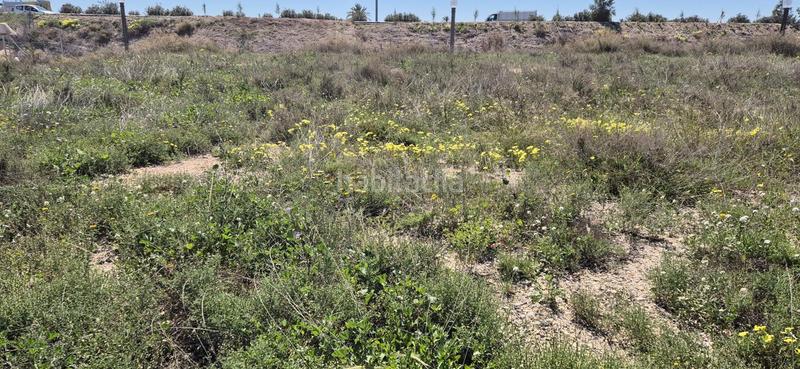 Foto 12b63cdf-c348-48b1-84f7-085f824bddff. Terreno residenziale in El Travaló - Martínez Valero Elche / Elx