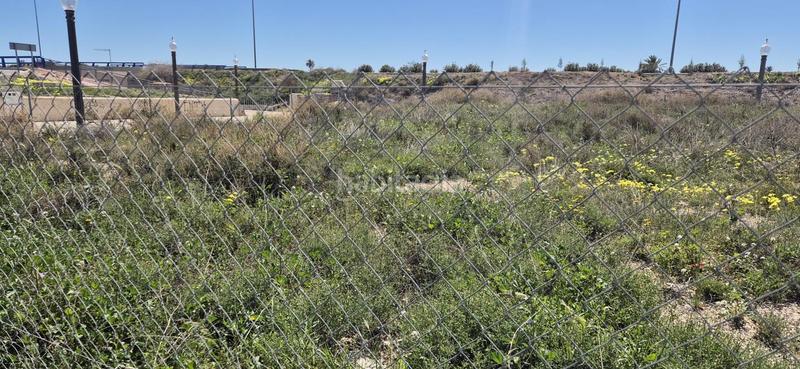 Foto 7a5ff6c1-da98-4bf5-978f-9d9d5d1e9f36. Terreno residenziale in El Travaló - Martínez Valero Elche / Elx